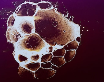 Camera-less Analog Photography. Chemigram.