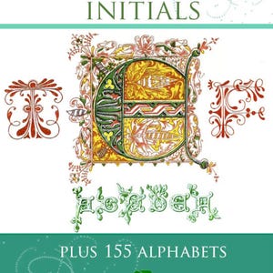 Manual de 363 Letras Ornamentais Iniciais Iluminadas Mais 155 ALFABETOS Realeza dos Séculos VI a XVIII