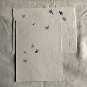 DAFFODIL SPRING GRACE Note Cards Meg Perry's Pressed Flower Art Yellow Blue on White Acid Free Paper 4 or 8 Packet & Envelopes Writer Gift image 6