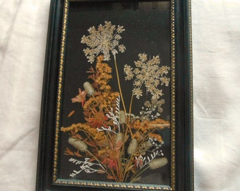 Dainty QUEEN ANNES LACE Botanical Collage Pressed Bunny Tails Coneflower Prairie Grass Gold Burnt Orange Silver Vintage 12 x 8 Wood Frame