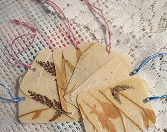 6 PRESSED BOTANICAL HANG Tags Brown Ferns Ecru Bamboo Leaves Cream Rice Paper, Gift Basket Embellishment 1950s Laminated Nature Ooak Kitsch