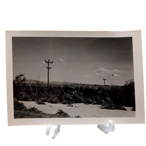 Vintage Landscape Photograph Picture Found Art Utility Electric Poles Black White