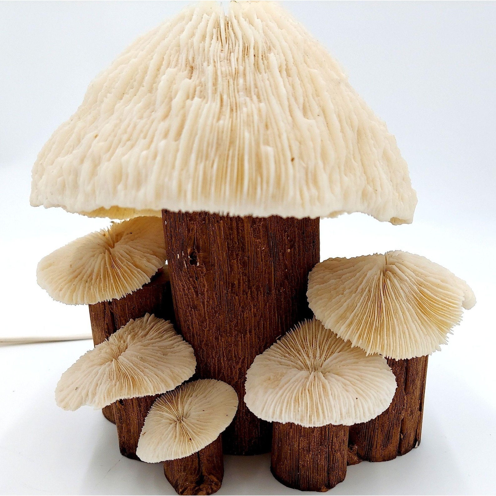 Coral Mushroom Lamp Vintage Shell Wood 8 Inch Retro Light Etsy