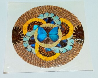 Blue Butterfly Wing Collage Folk Art Vintage Insect Taxidermy Brown 17 x 17 B22