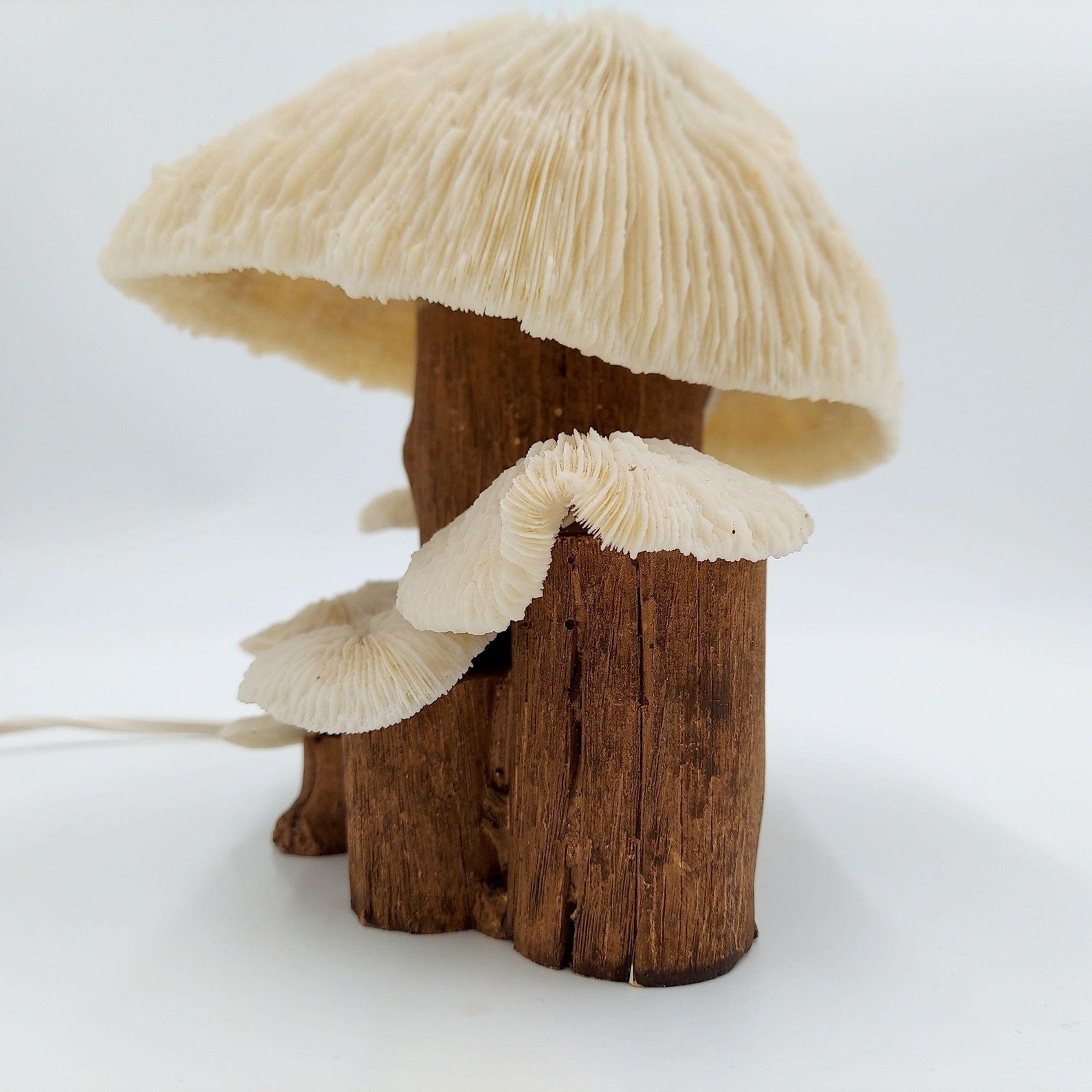 Coral Mushroom Lamp Vintage Shell Wood 8 Inch Retro Light Etsy