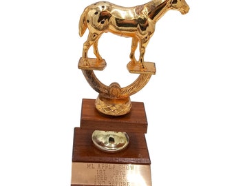 1970 Appaloosa Show Horse Trophy Vintage Collectible Statue Rodeo Equestrian