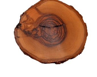 Wood Slice Belt Buckle Tree Vintage Boho Western Nature Country Bark