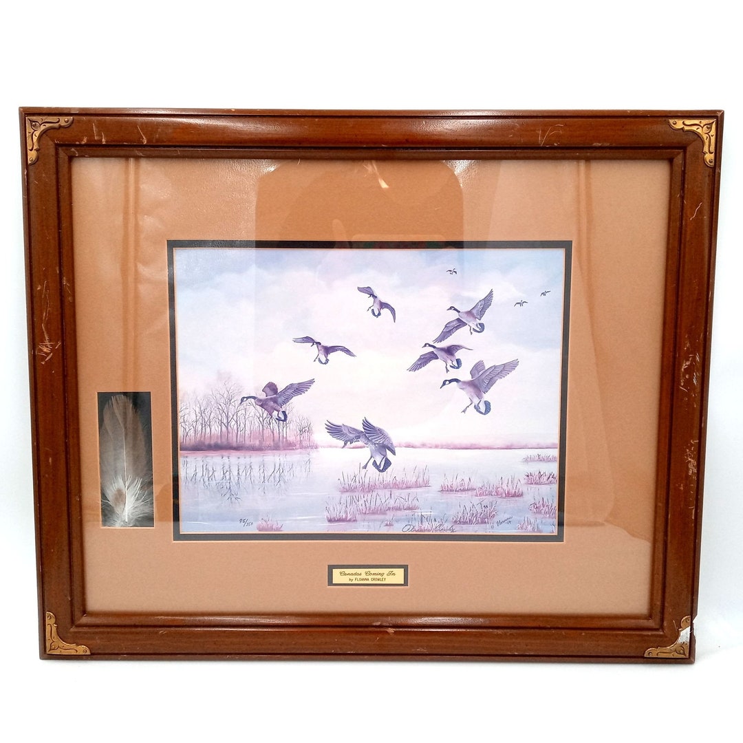 Canadas Coming in Art Print Framed Canadian Geese Vintage Floanna
