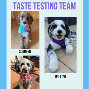 Homemade Dog Treats - Mom Owned, Family Operated image 7