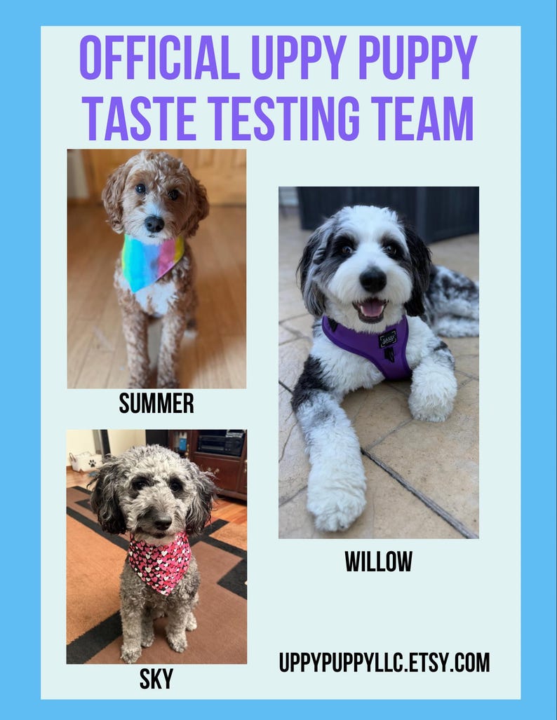 Homemade Dog Treats - Mom Owned, Family Operated image 7