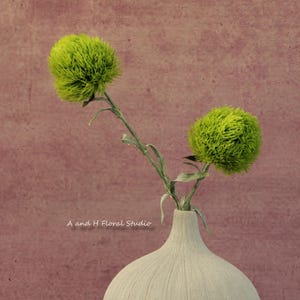 Dianthus Green Wicky | Green Ball | Artificial Plant | Top Notch | High Quality | Home Décor | Indoor Decoration | Gifts