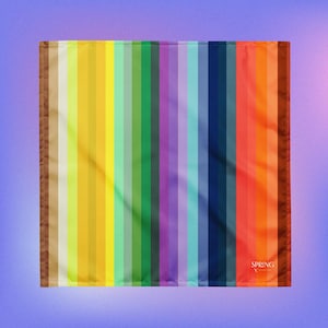4 Seasons Color Analysis Flags (Labeled)