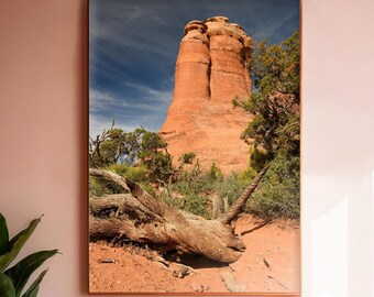 Impresión de paisaje de Utah, arcos de arenisca, fotografía de paisaje desértico, fotografía de exteriores, desierto alto, enebro, arte arbóreo, Moab
