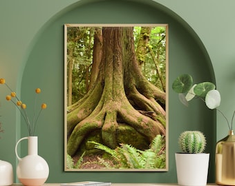 Washington Landscape Print, Old Growth Forest, Tree Roots Art Print, Wizard Fingers, Pacific Northwest Photography, Nature Decor