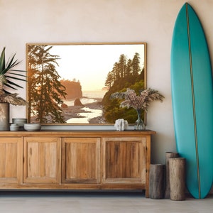 May include: A wooden cabinet with four doors, a framed photograph of a beach scene with a sunset, a potted palm tree, and a teal surfboard leaning against a wooden log.
