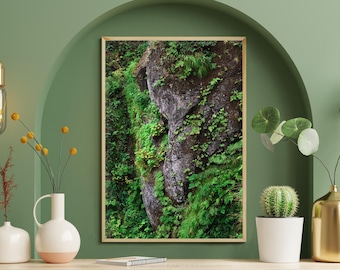 Paisaje de Washington, Fotografía de bosque, Foto de helechos, Arte de la selva tropical, Noroeste del Pacífico, Cuervo, Fotografía de naturaleza, Cabo Flattery