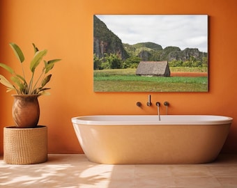 Kuba Landschaftsdruck, Vinales, Bauernhof Fotografie, Tabakpflanzen, Tropische Insel, Karibik, Südamerika, Mogote, Cubano, Zigarren