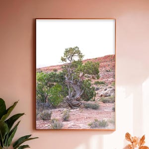 May include: A solitary tree with gnarled branches stands in a desert landscape. The tree is surrounded by red rock formations and green shrubs. The sky is a clear blue.