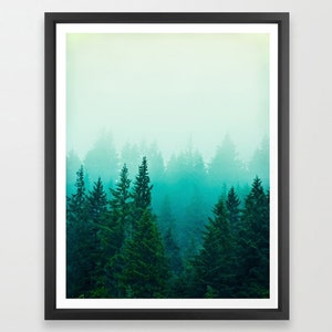 May include: A misty forest scene with tall evergreen trees in shades of green and blue.