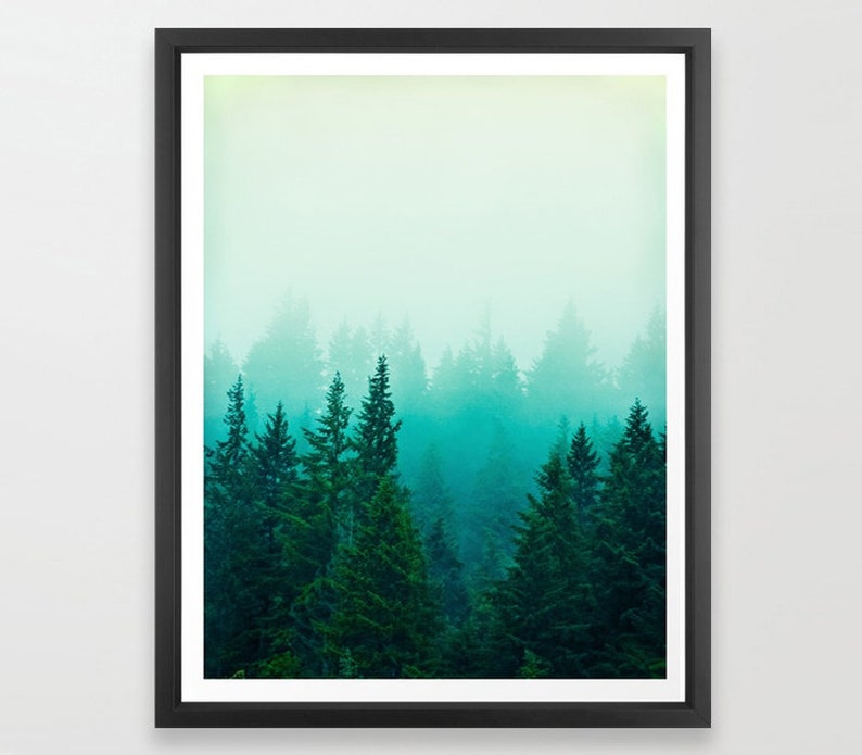 May include: A misty forest scene with tall evergreen trees in shades of green and blue.