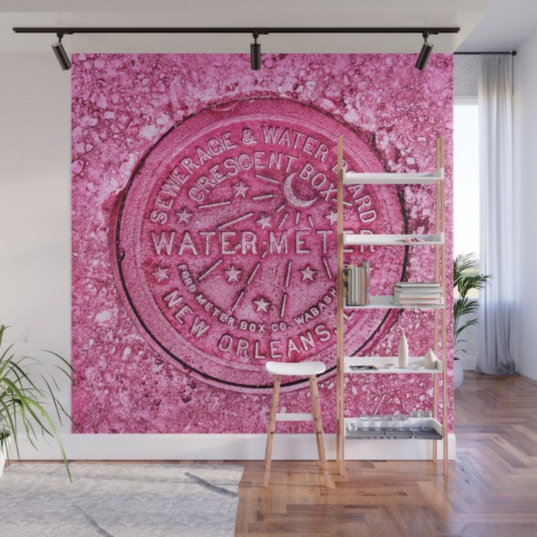 Water Meter Wall Mural, New Orleans Mural, Water Meter Wallpaper, New Orleans Photograph, NOLA