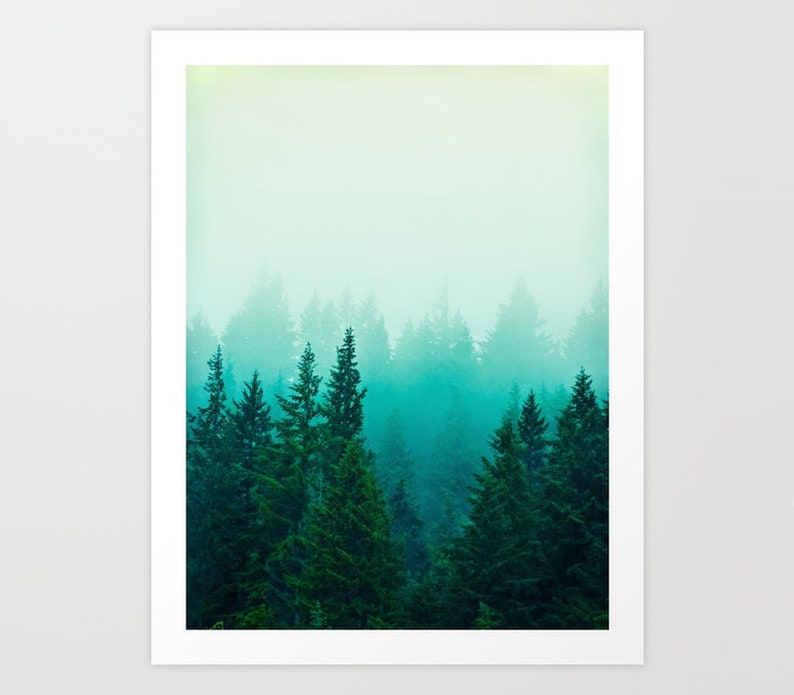 May include: A misty forest scene with tall evergreen trees in shades of green and blue. The fog creates a soft, ethereal atmosphere.