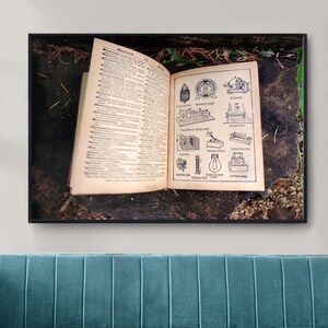 Boekfotografie, vintage woordenboek, vintage illustratie, technische kaart, kust van Oregon, bosfoto, boomstronk, lezen, boeknerd
