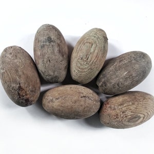 May include: Six weathered, oval-shaped wooden objects with visible grain patterns are arranged on a white surface. The objects have a natural, aged appearance, with variations in color from light to dark brown.