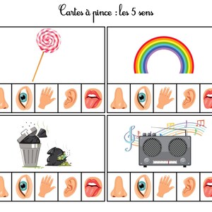 Cartes les cinq sens - The five senses - worksheets preschool - le goût - le toucher - l'odorat - l'ouïe - la vue