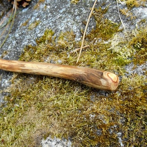 Wild Apple Wood Wand