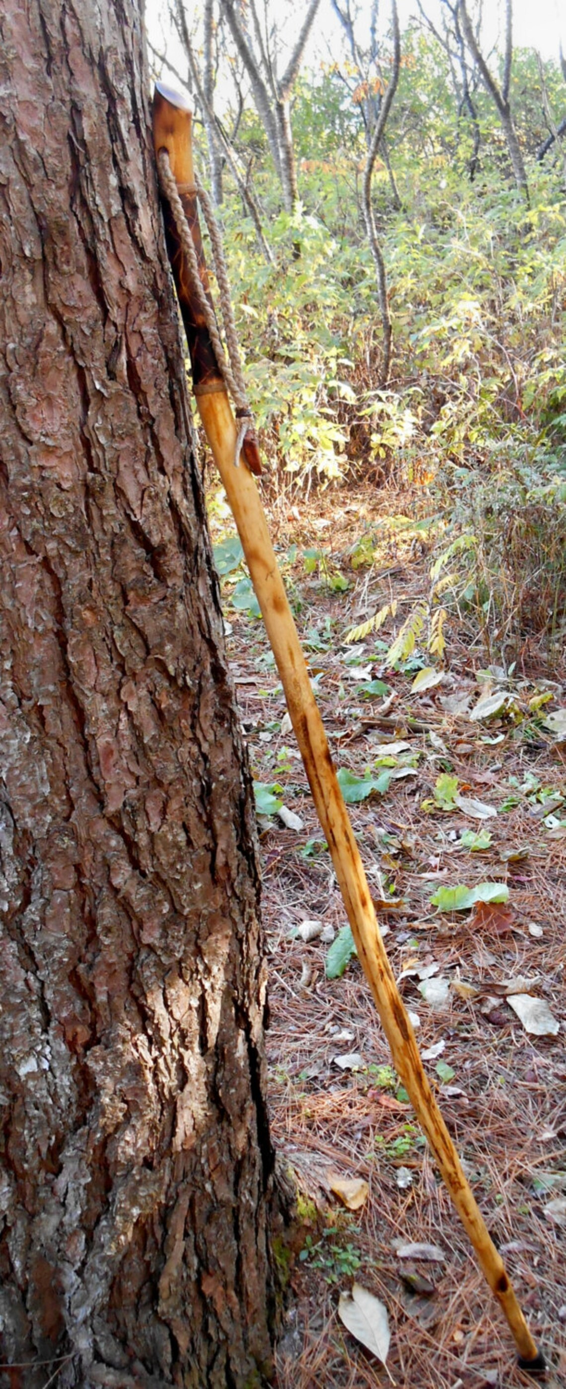 Walking stick Maine Made Wood Hiking Staff with handmade burl Etsy