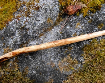 Spalted Maple Wood Wand, Wicca Pagan, Druid