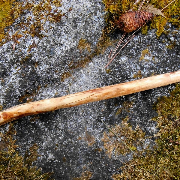 Spalted Maple Wood Wand, Wicca Pagan, Druid