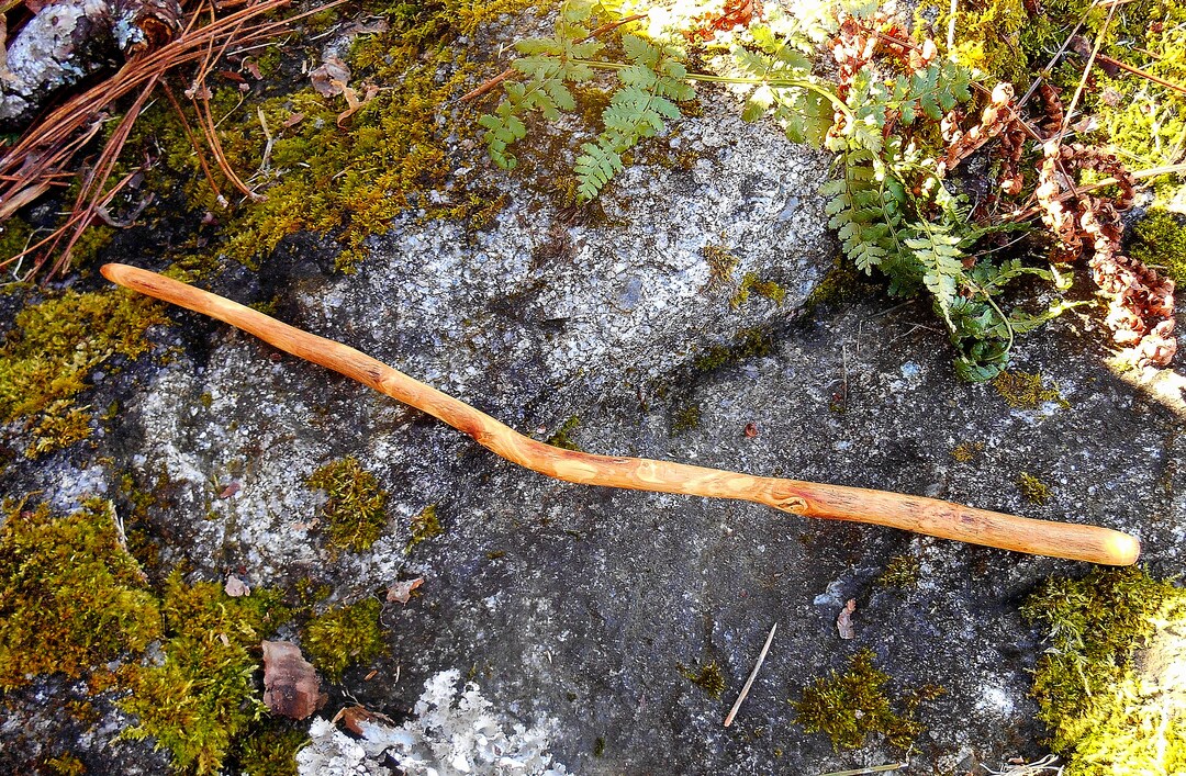 Wild Apple Wood Wand Love Magic Healing Wand Etsy