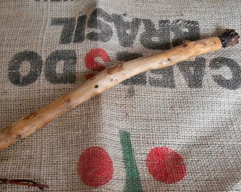 Pine Wood Pagan Wand with Pinecone, Purification wand