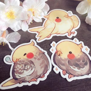 Cockatiel Vinyl Stickers