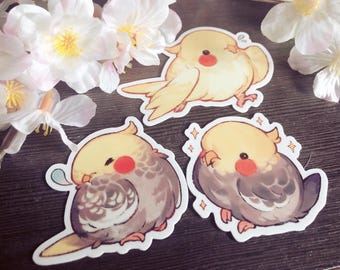 Cockatiel Vinyl Stickers