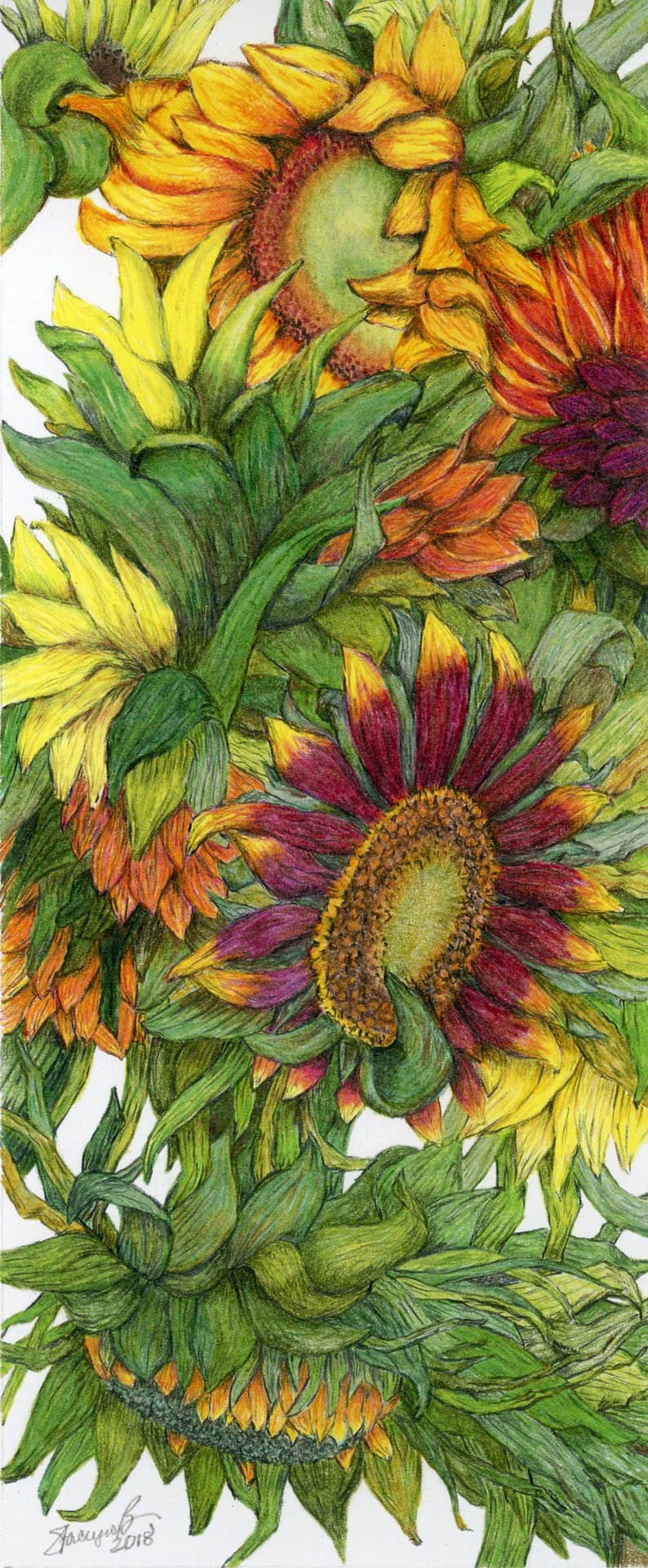 Sunflower Blank Greeting Card - Etsy