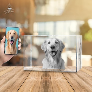 Op de afbeelding: Een 3D-kristallen kubus met een zwart-wit afbeelding van een golden retriever-hond erin. De hond kijkt met een licht geopende mond naar de camera.