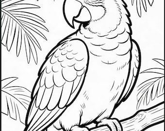 Può includere: Una pagina da colorare in bianco e nero raffigurante un pappagallo appollaiato su un ramo d'albero. L'uccello è mostrato di profilo con contorni dettagliati delle piume, un becco ricurvo e un occhio. Foglie di palma incorniciano il pappagallo.