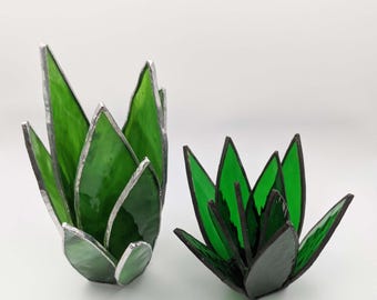 May include: Two green stained glass succulent plants. The larger plant is taller and has a more rounded shape. The smaller plant is shorter and has a more open shape.