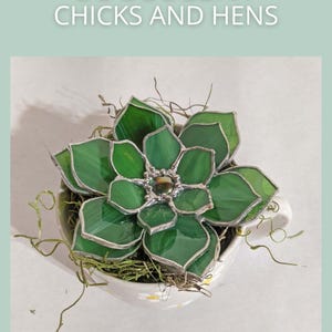 3D Succulent TUTORIAL, Chicks and Hens DIY Stained Glass pattern PDF digital download for glass snake plant art, Hobby Commercial license