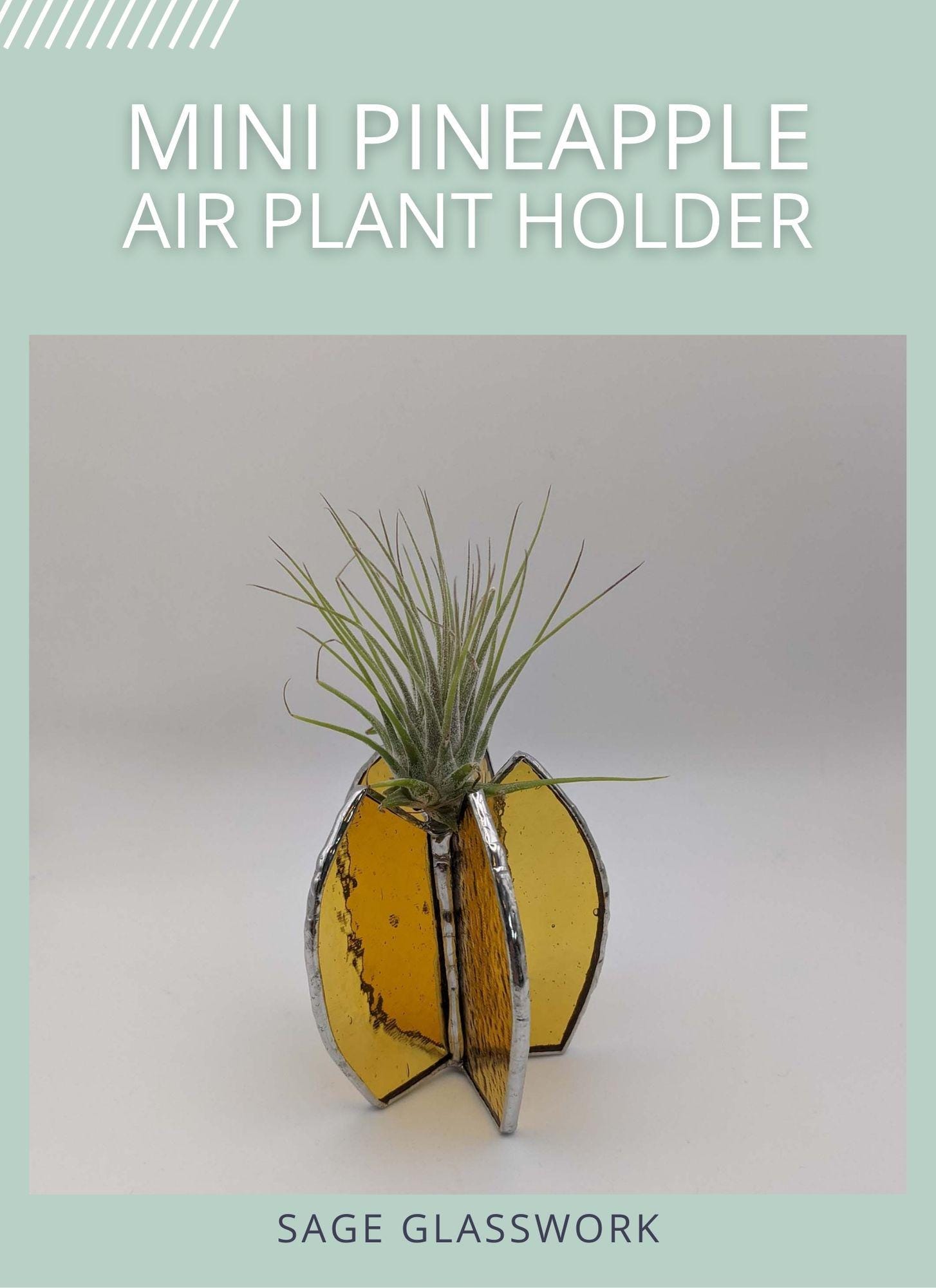 Pineapple Air Plants - Etsy