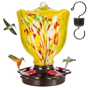 Hand Blown Glass Rose Hummingbird Feeder: Rust Proof Ant Moat, 25 oz