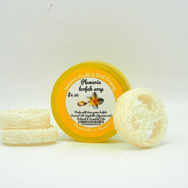 CLEARANCE Plumeria Loofah Soap