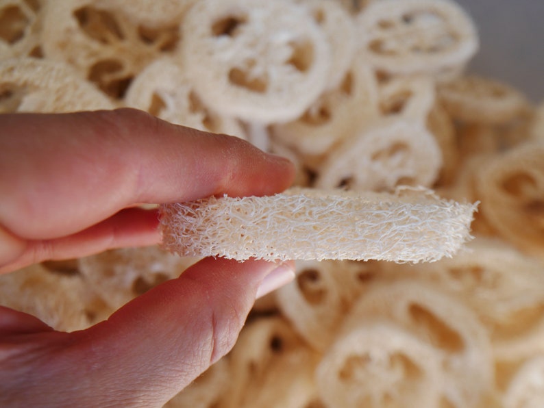 Wholesale Bulk Loofah Lot for Soap Making 5/8 Slices 2 Etsy