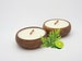 Citronella Lime (SET OF 2)candles in Reusable  Bowl with Wooden Wick - Hawaiian Tropical Beach Theme - Bug Repellent 