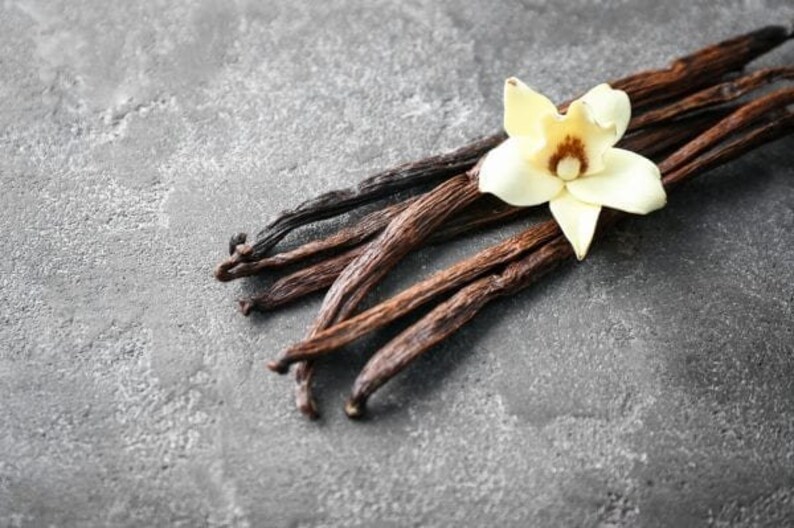 Hawaiian Vanilla Bean TROPICAL FLAVORS Handmade Etsy