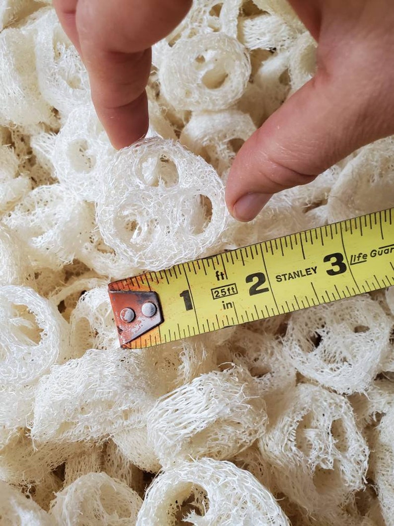 Wholesale Bulk Loofah Lot for Soap Making 5/8 Slices Etsy