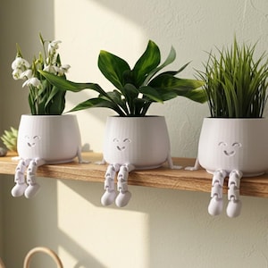 May include: Three white, smiling plant pots with legs, each holding a different plant, sit on a wooden shelf. The plants include white flowers, green leafy plants, and green grass. The pots have a whimsical design.